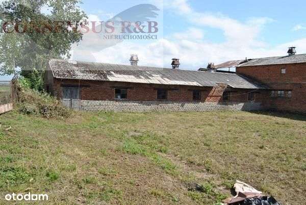 Lokal użytkowy, 478 m², Prudnik - Pełny obrazek: 4/12