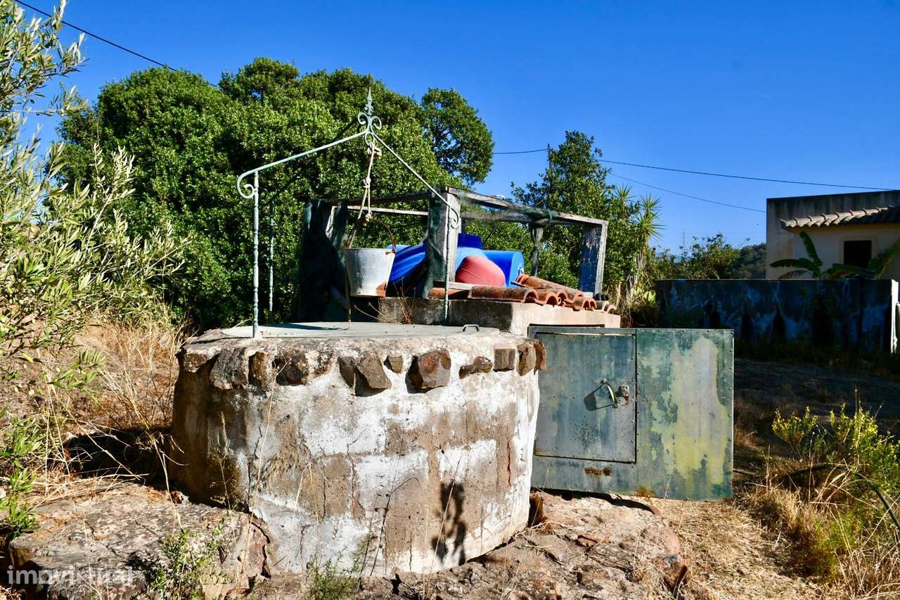 Quinta com moradia V3 na Mexilhoeira Grande-14