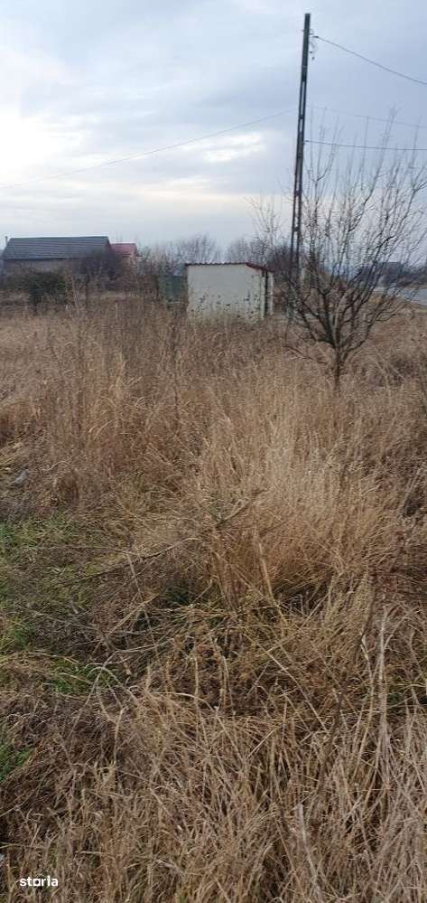 Teren intravilan milesti -simnicul de sus - Carpe Diem Imobiliare - Imagine principală: 5/6