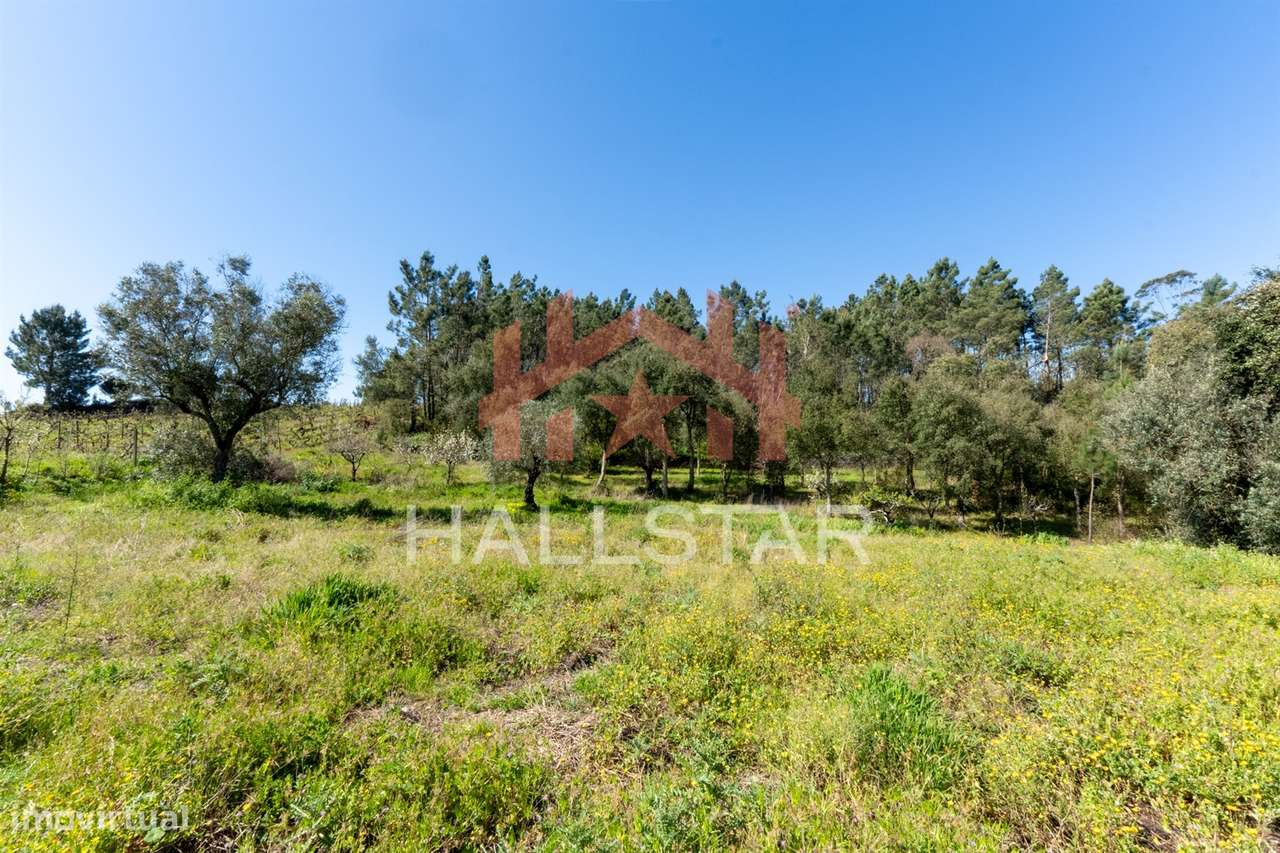 Moradia T3 / Para Reconstrução / Torrinhas-22