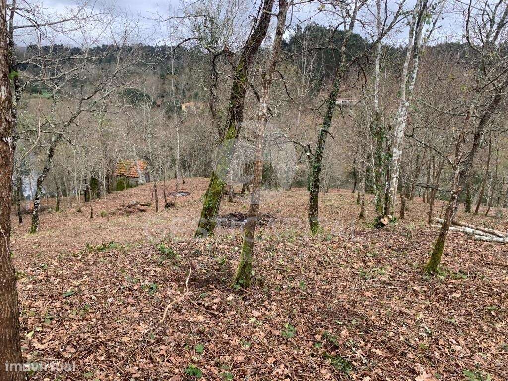 Quinta com frente rio em Santo Isidoro, Marco de Canaveses-15