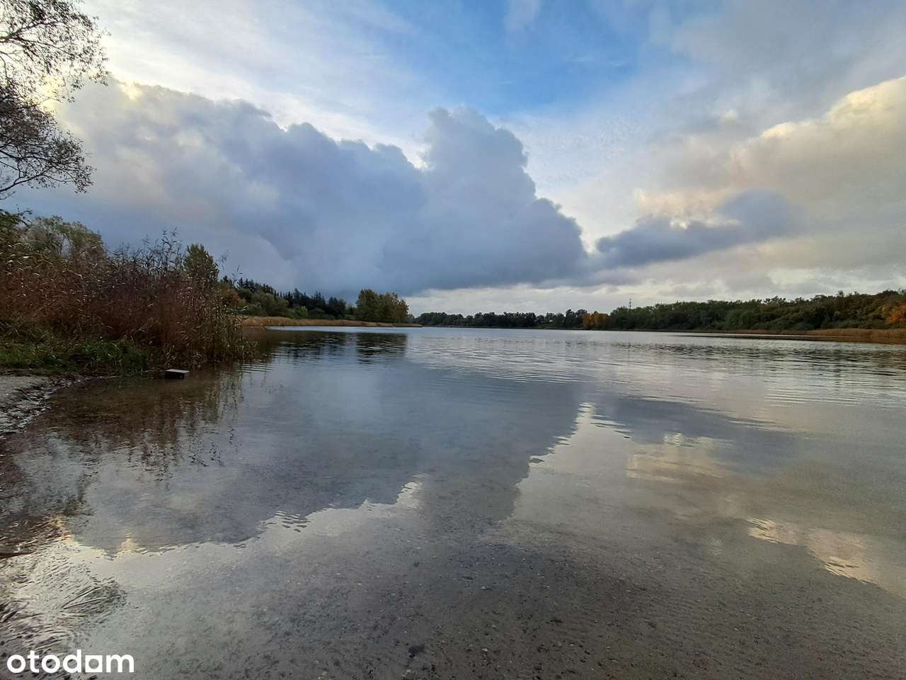 Zamieszkaj wśród zieleni! 3 pokoje nad jeziorem – cisza, przestrzeń! - Pełny obrazek: 5/8