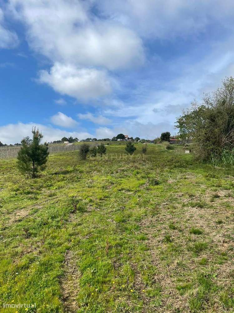 Terreno Rústico em Salir de Matos, Caldas da Rainha - Grande imagem: 4/6