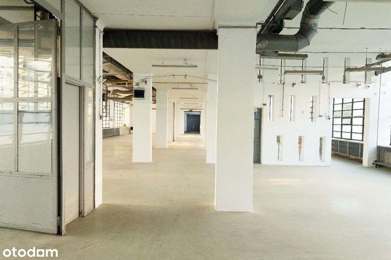 Na sprzedaż obiekt w Błoniu o pow. 2329m2 - Pełny obrazek: 4/20