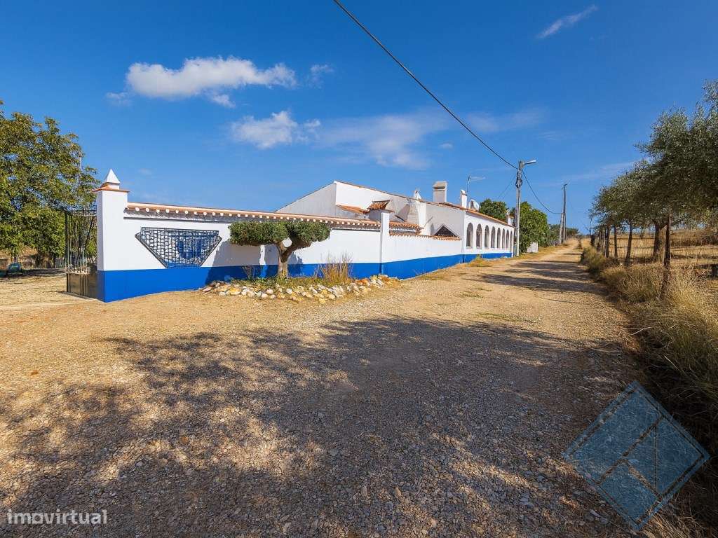Monte Alentejano com Piscina, Vinha e Árvores de Fruto-7
