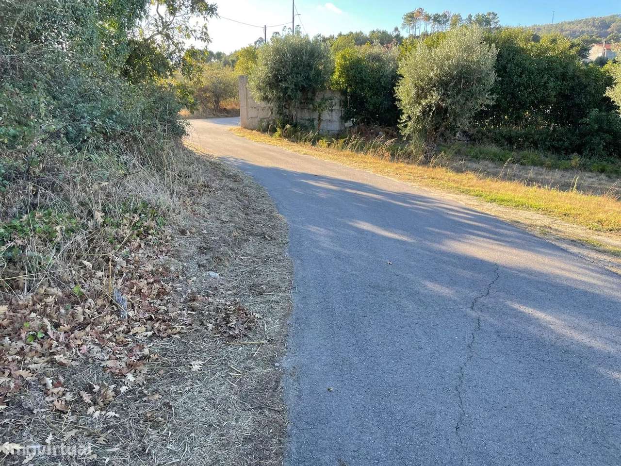Terreno Natural Encantador em Fornos de Algodres, Portugal - Grande imagem: 2/26