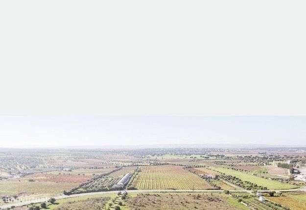 Propriedade com caracteristicas unicas. - Grande imagem: 4/4