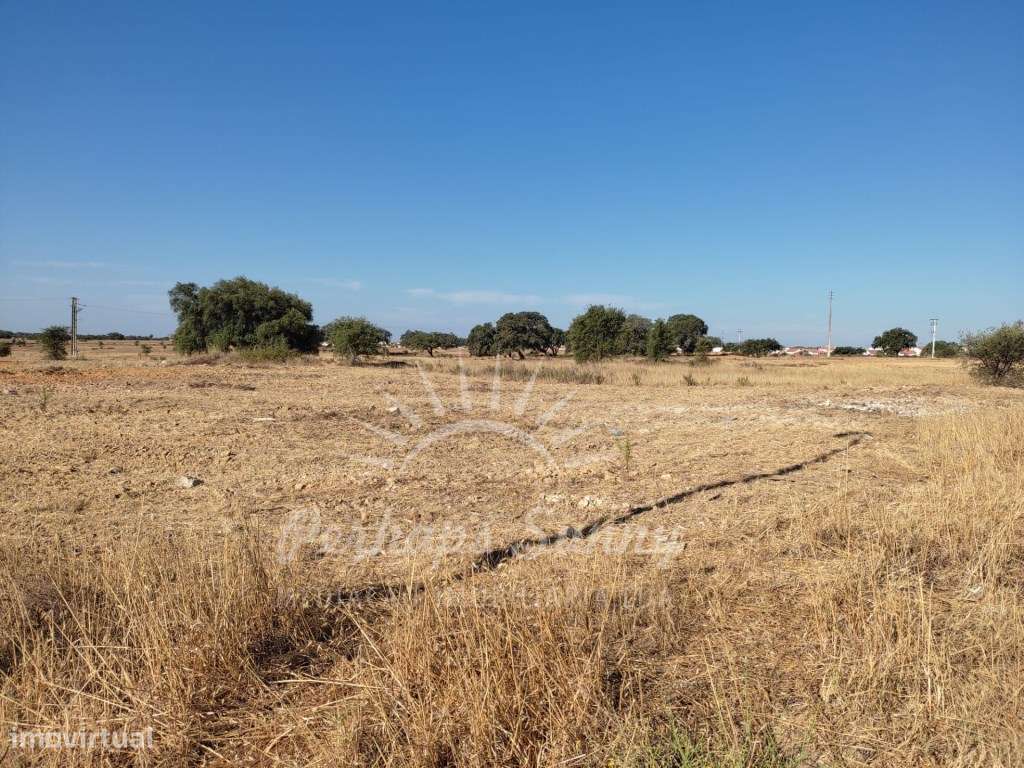 Lote Ermidas Sado - Grande imagem: 5/5