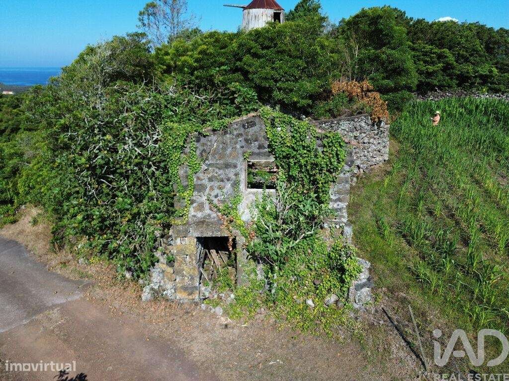 Casa / Villa em Criação Velha de 70,00 m2 - Grande imagem: 5/29
