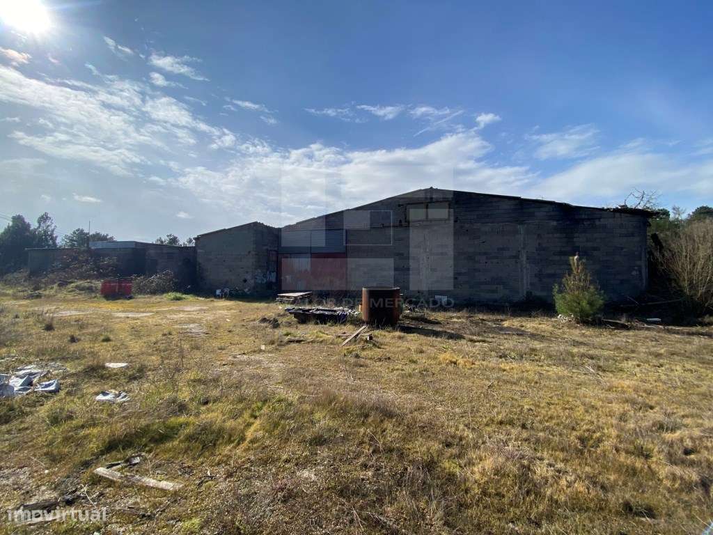 ARMAZÉM - SERNANCELHE - Grande imagem: 3/9