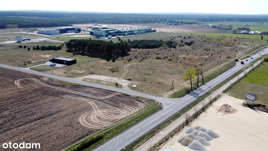 Blisko 3 ha terenów usługowych przy DK22 - 0%! - Pełny obrazek: 4/14