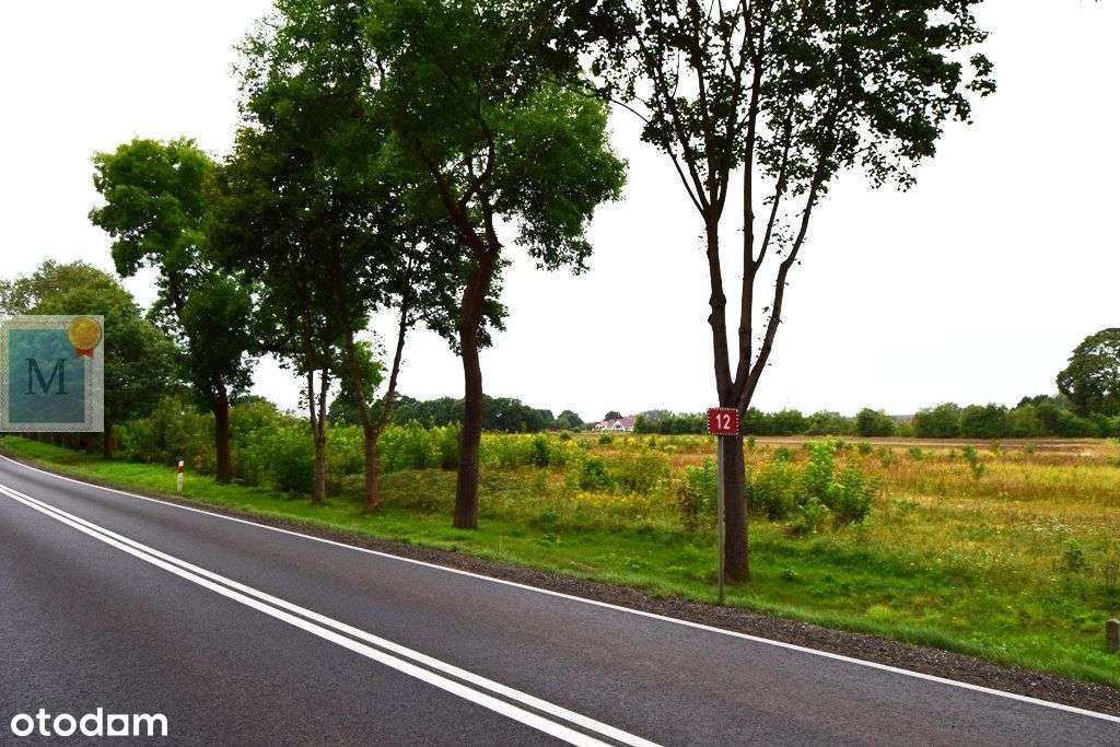 Działka inwestycyjna 2ha,Sieniawa Żarska,Dk12 - Pełny obrazek: 5/8