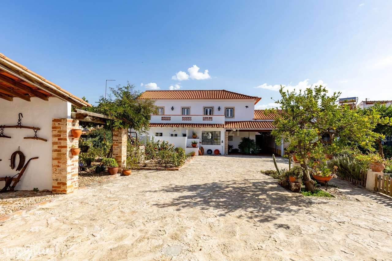 Moradia T4+T2  em Pombalinho, Golegã - Grande imagem: 3/33