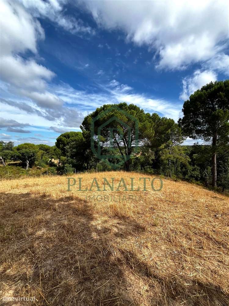 Quinta >=T10 Venda em Cortiçadas de Lavre e Lavre,Montemor-o-Novo-19