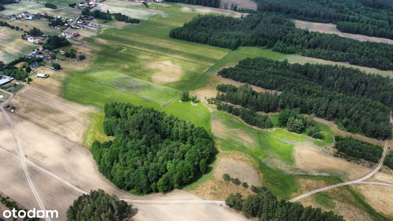 Strzelcowizna - 9,25 ha gruntu przy Czarnej Hańczy na sprzedaż - Pełny obrazek: 4/12