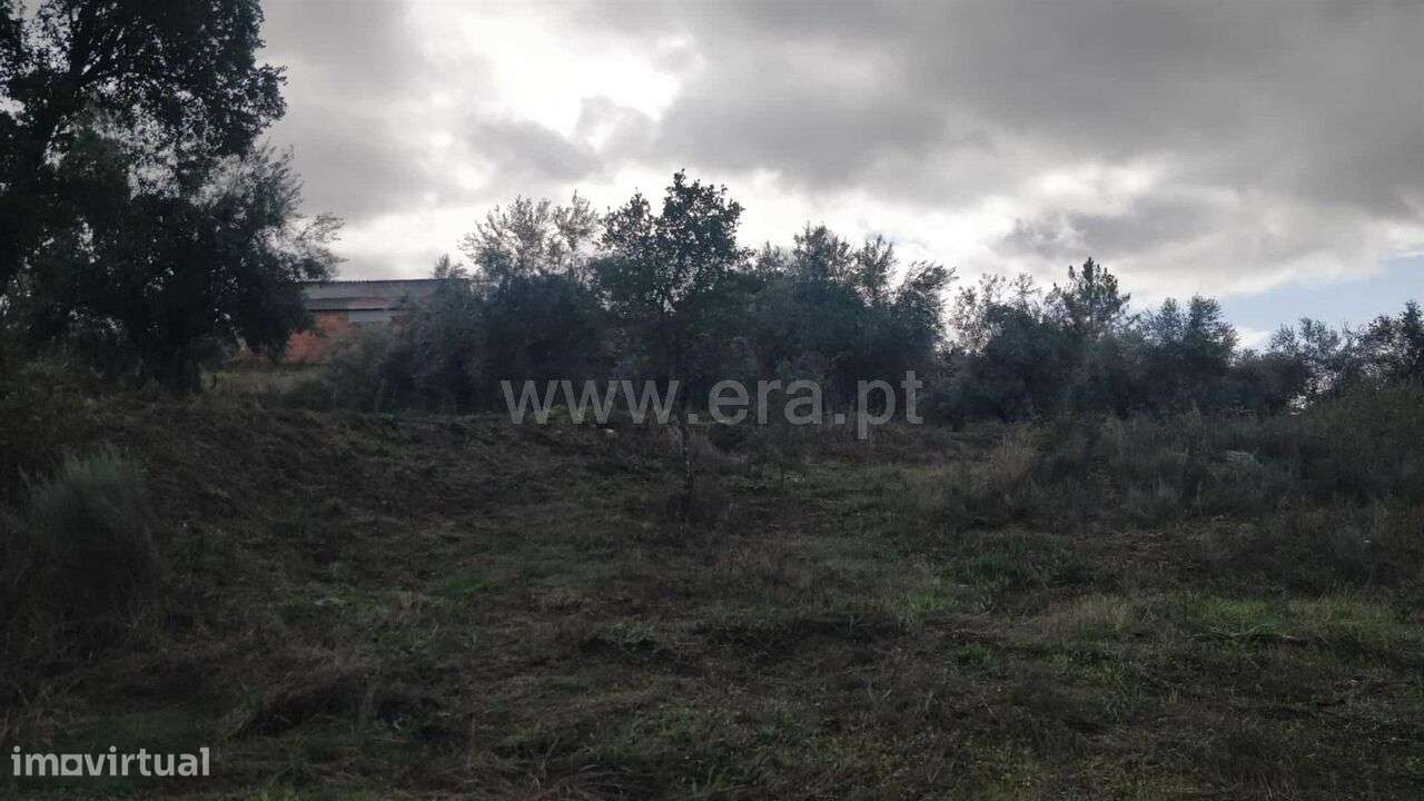 Terreno Rústico / Fundão, Póvoa da Atalaia - Grande imagem: 4/20