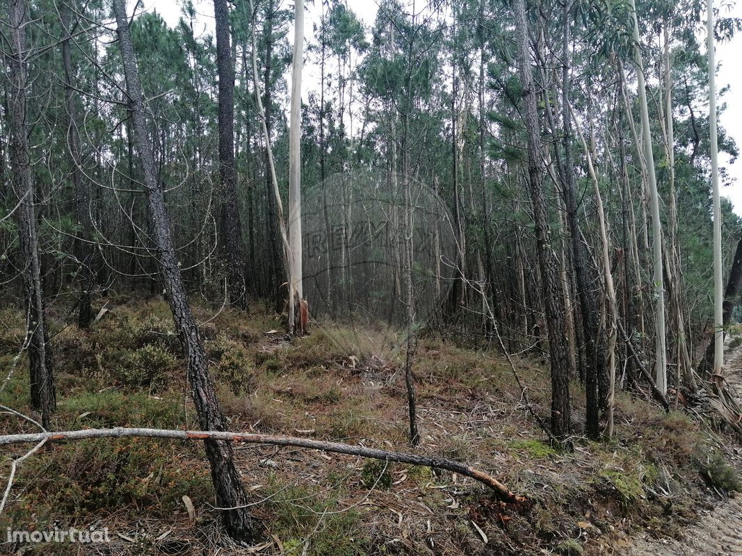 Terreno  para venda