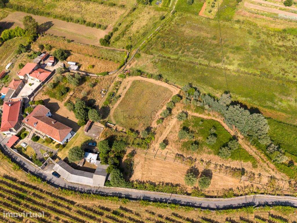 Quinta tradicional | Vitorino das Donas, Ponte de Lima-7