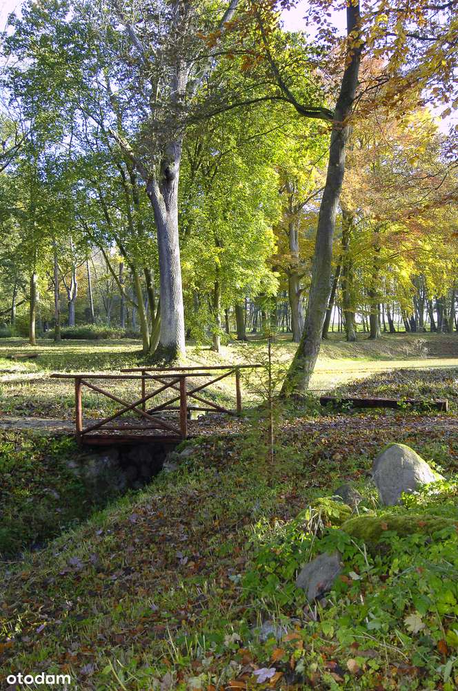 Na sprzedaż nieruchomości Uniwersytetu Szczecińskiego - Pełny obrazek: 4/15
