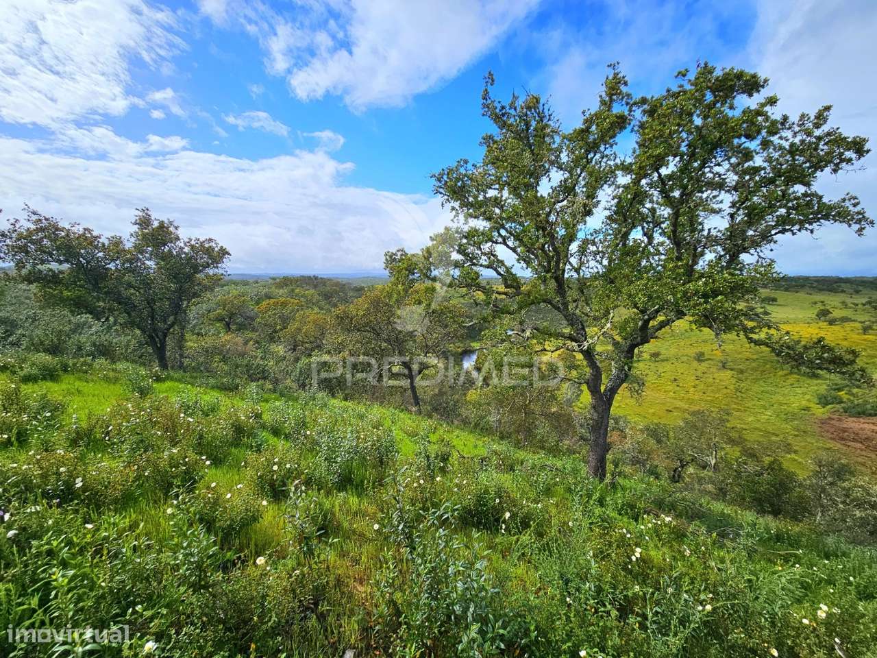 Terreno rústico com 28 hectares - Grande imagem: 4/14