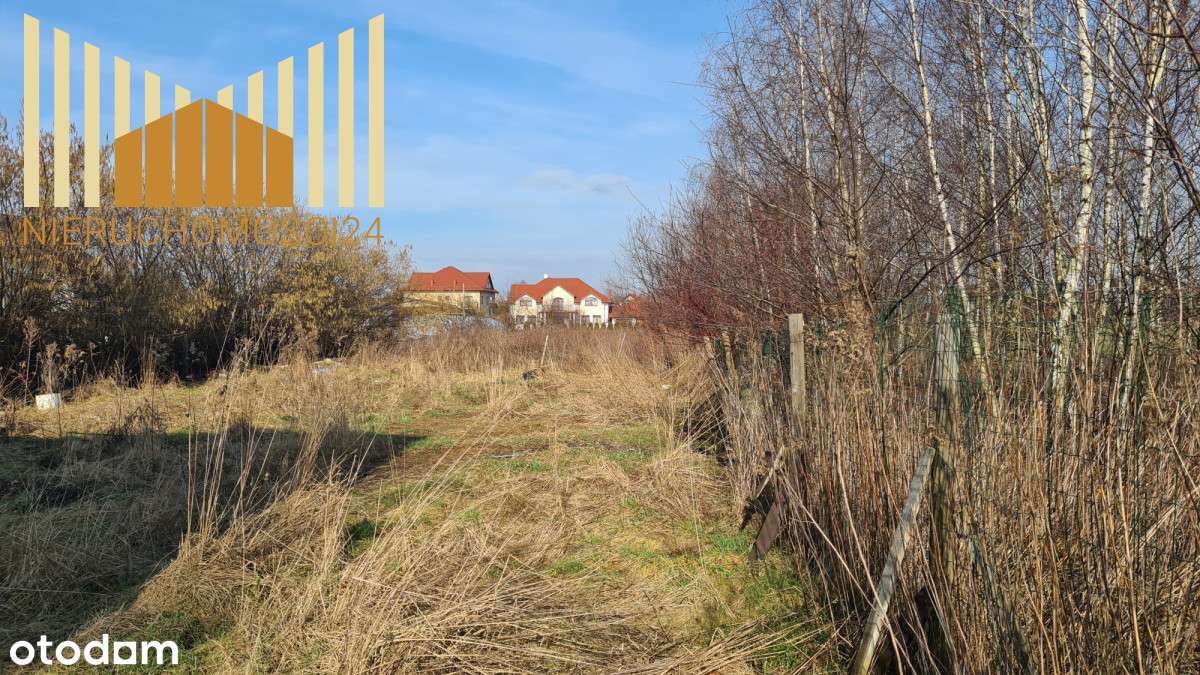 425262 - Pełny obrazek: 3/6