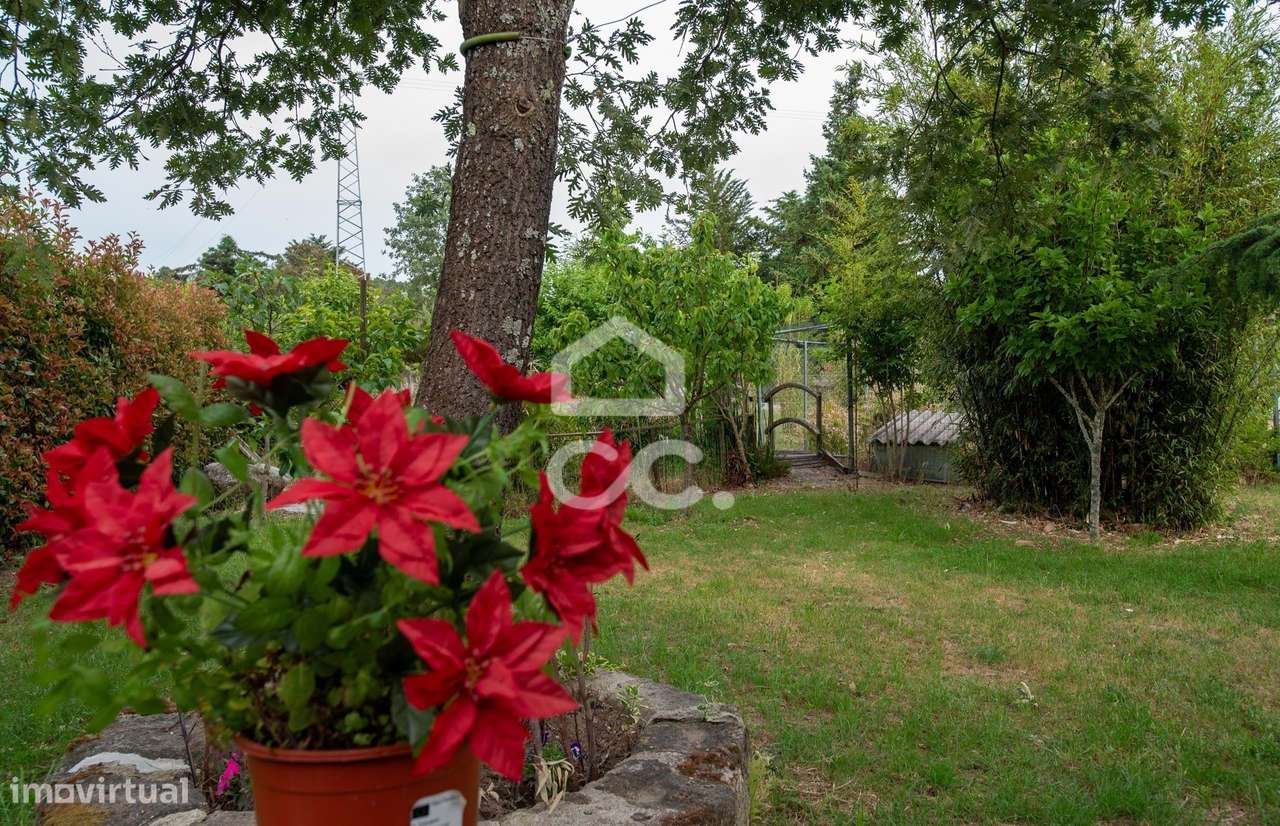 Quinta com moradia charmosa a poucos minutos do centro de Chaves-26