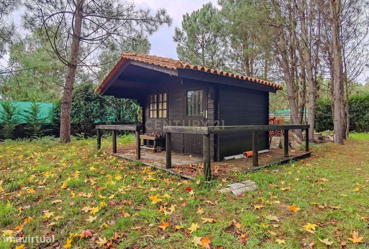 Quinta com Moradia e Piscina na Maia, Porto-17