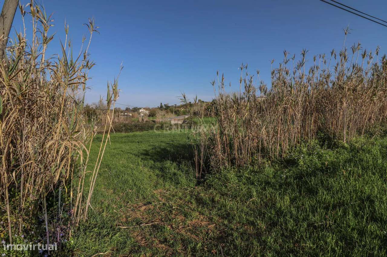 Terreno possibilidade Construção | 68.205m2 | Montemor-o-Velho - Grande imagem: 4/22