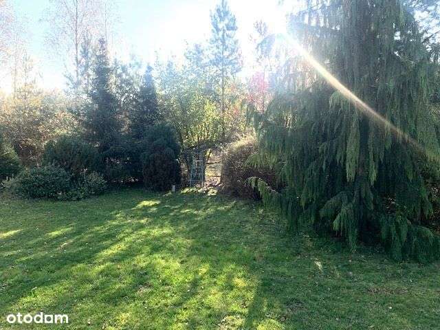 Piękny dom w lesie.., Dabcze-10