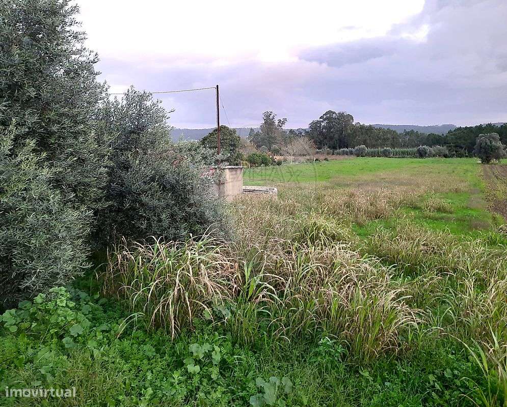 Terreno  para venda - Grande imagem: 4/4