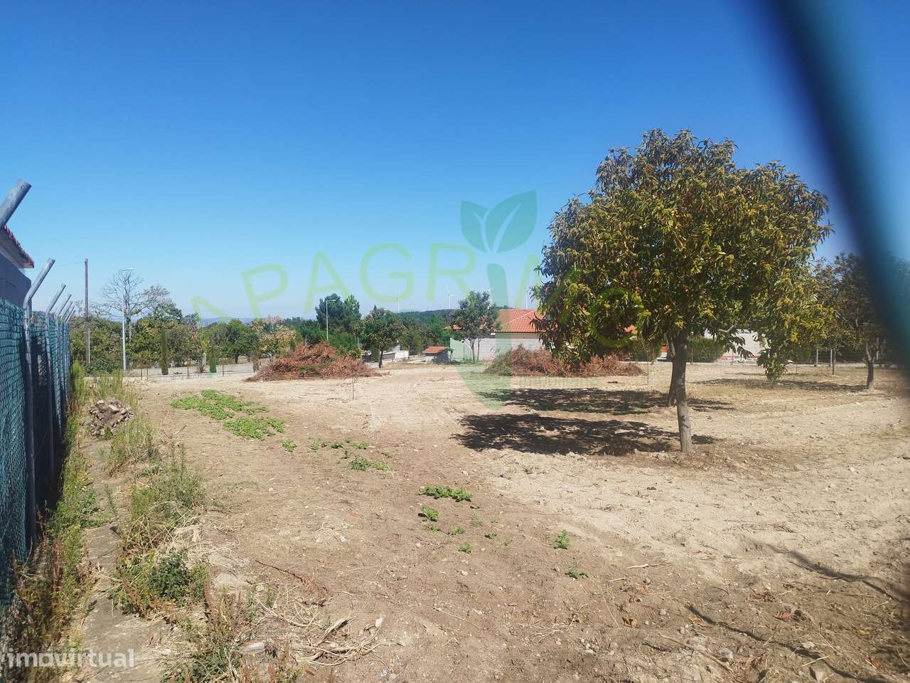 Terreno urbano para construção em Penedono-6