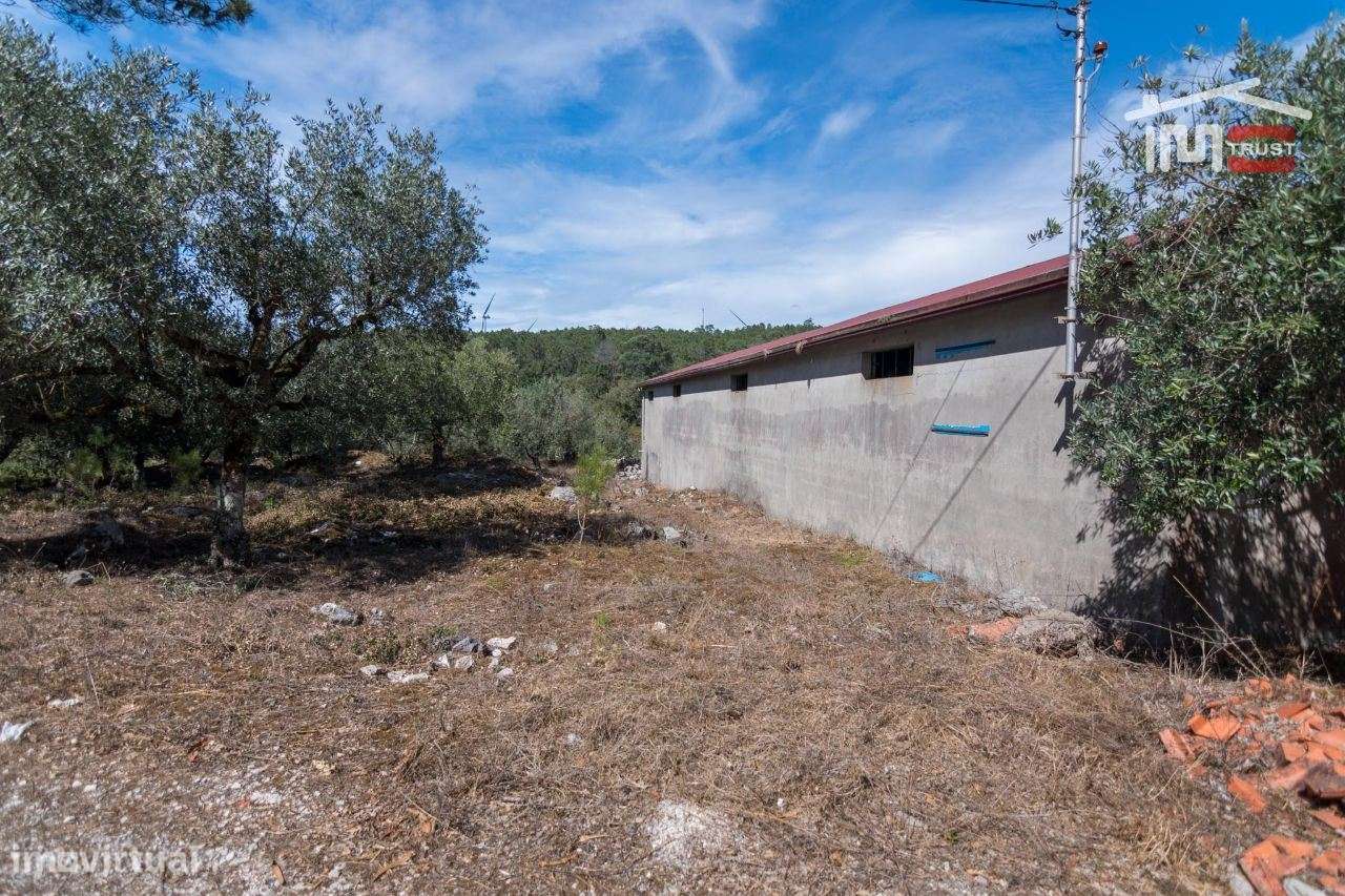 ARMAZEM COM AREA UTIL E 250 M2 LICENCIADO PARA ARMAZEM E ACTIVIDADE... - Grande imagem: 4/13