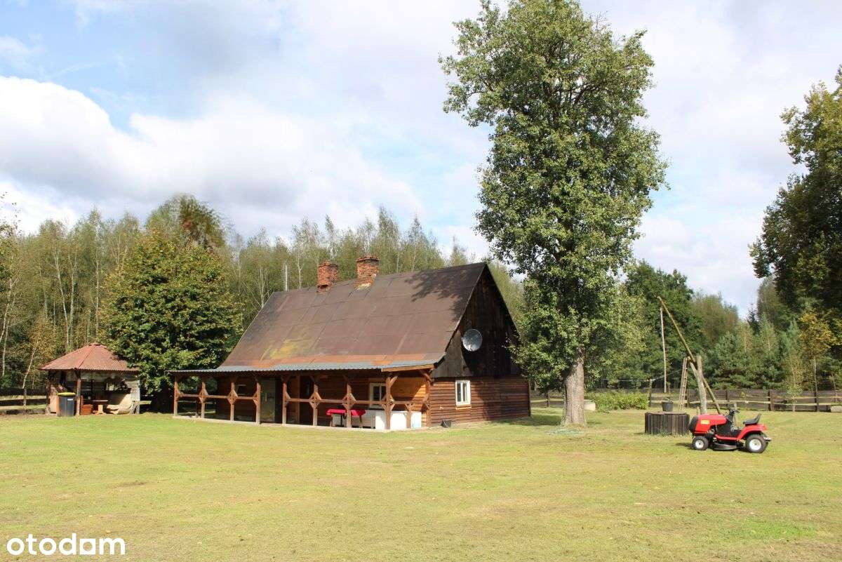 Siedlisko w m. Boruja Nowa-8