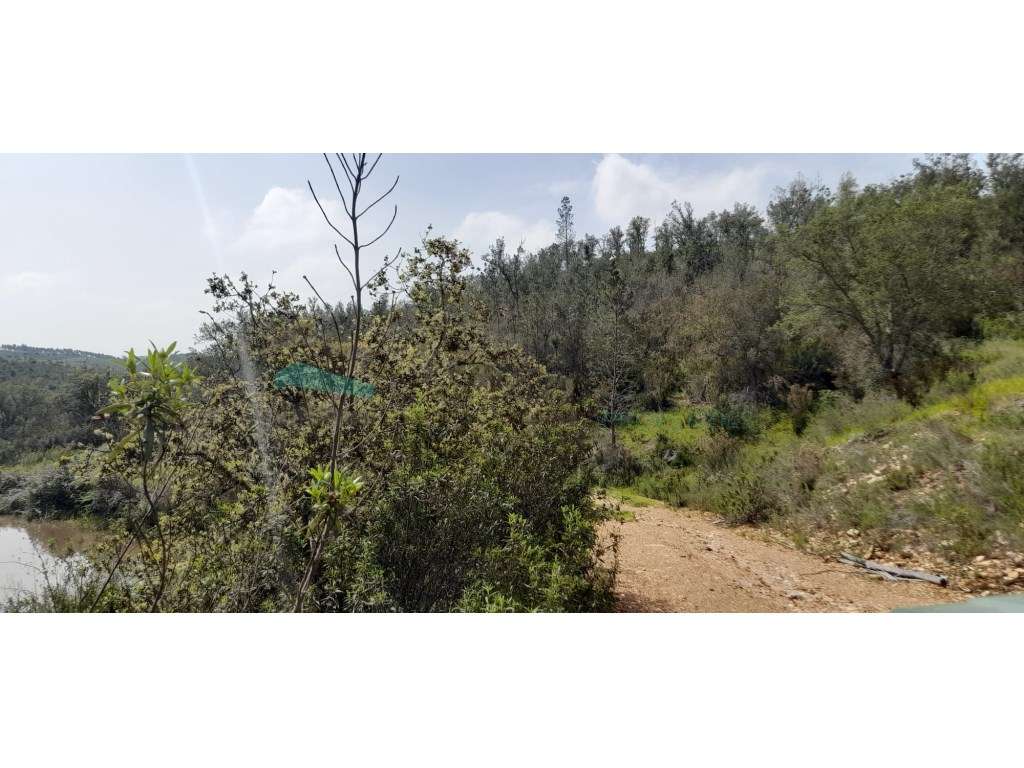 Terreno rústico - Odemira - Grande imagem: 2/8