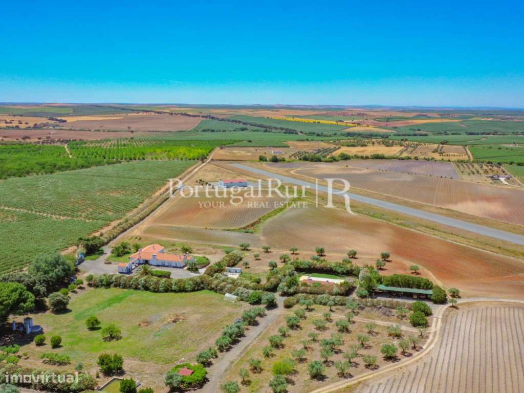 Herdade de 30ha com aeródromo certificado e excelente moradia - Grande imagem: 5/60