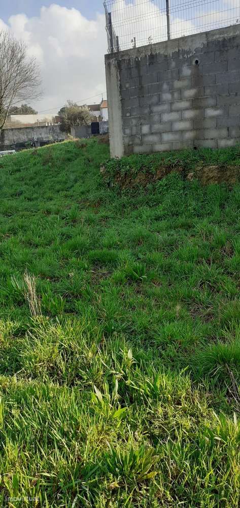 Terreno urbano nas Caldas de S. Jorge - Grande imagem: 5/15