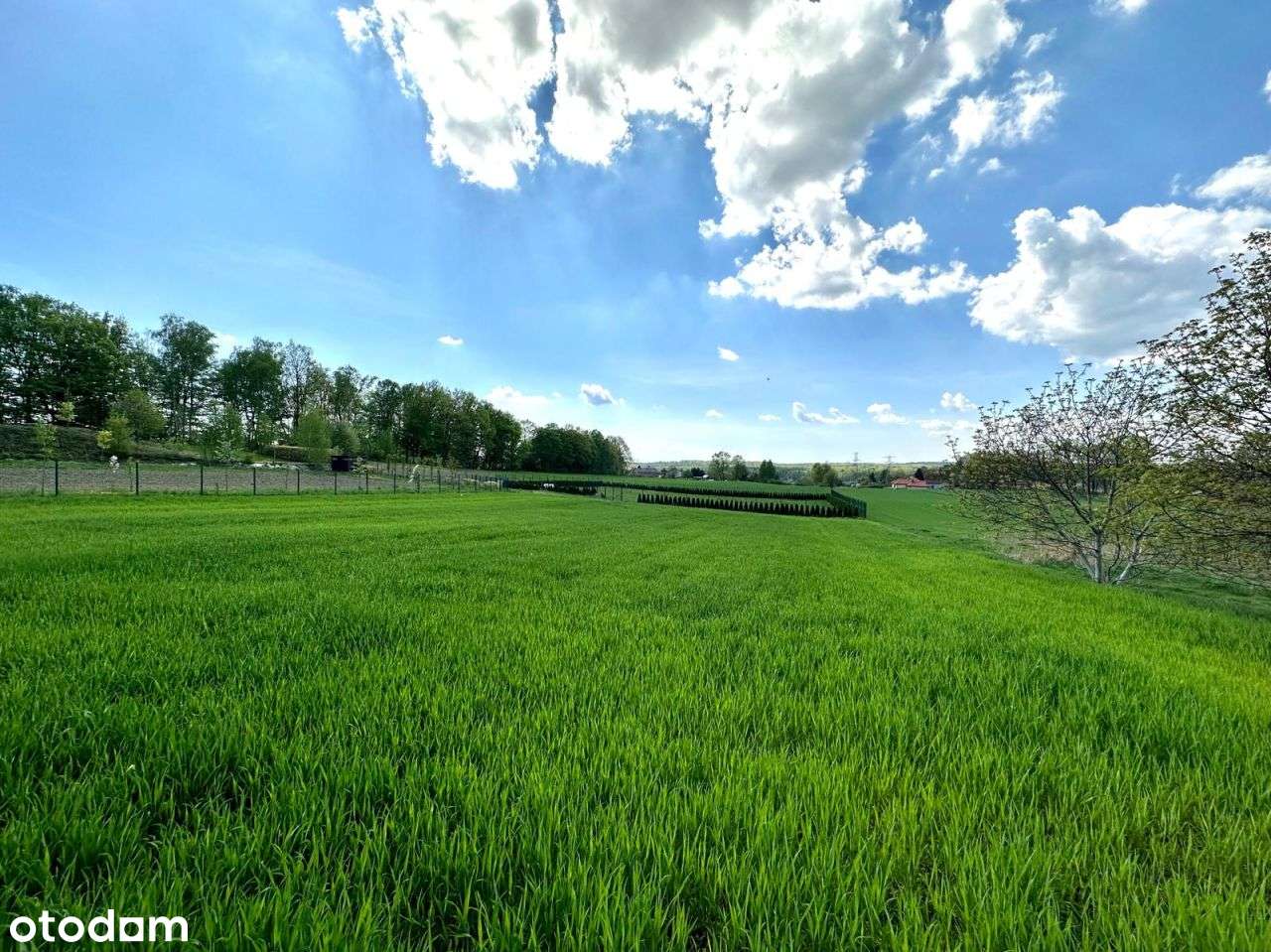 Działka pod lasem | doprowadzony wodociąg-0