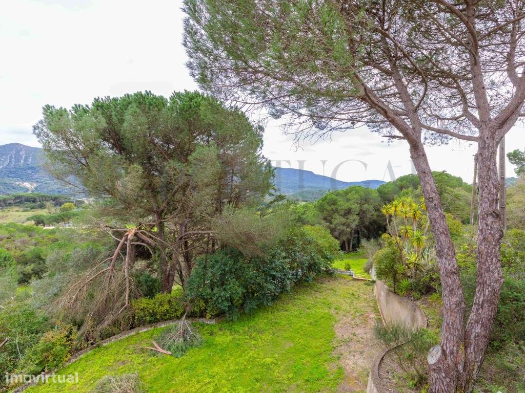 Quinta do Levante: Refúgio de Luxo com Projeto Aprovado no Coração ...-7