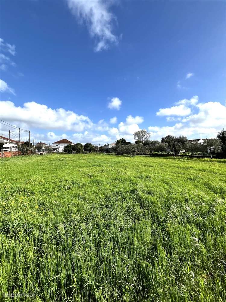 Terreno Para Construção  Venda em Vendas Novas,Vendas Novas-6