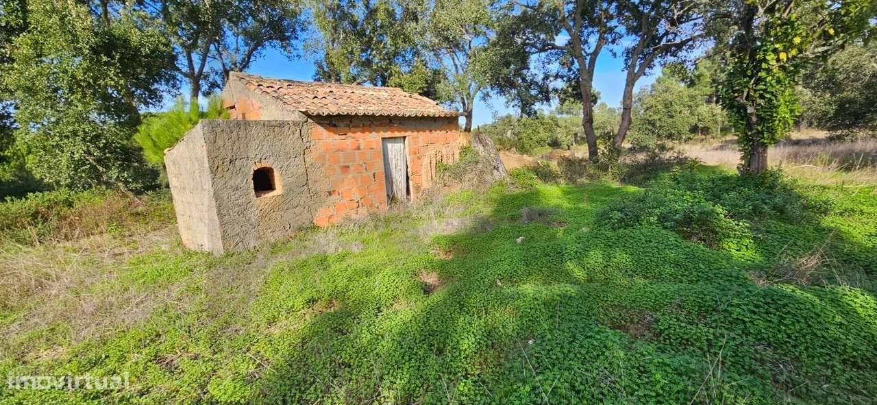 Terreno com Projeto para Moradia V6 - Grande imagem: 4/18