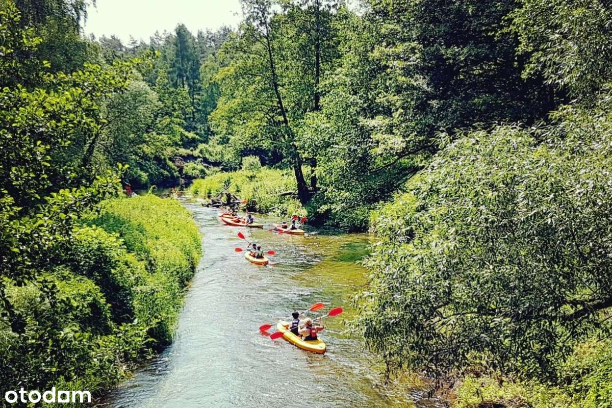 Budowlane przy lesie i rzece Grabia. Twoja sprawdzona inwestycja RATY-12