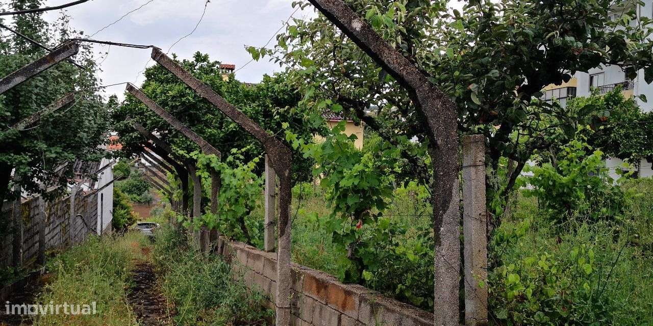 Moradia de R/C, 1º Andar, 2º Andar e Sótão em Proença-a-Nova-5