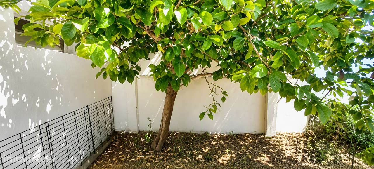 Moradia Renovada T2 em Beringel-19