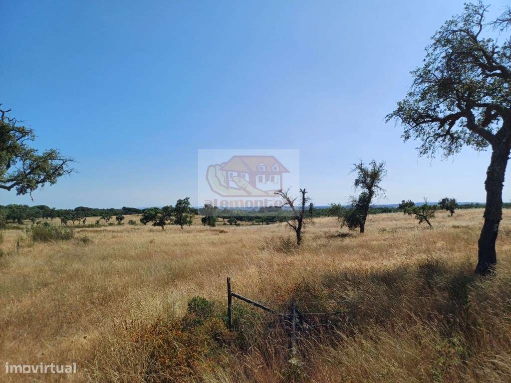 Terreno com paisagem típica alentejana - viabilidade para Turismo - Grande imagem: 5/11