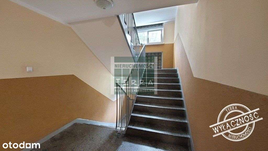 Klimatyczne mieszkanie przy lesie-15