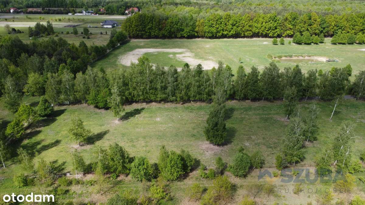 Duża Działka Budowlana Obok Lasu - Pełny obrazek: 2/16