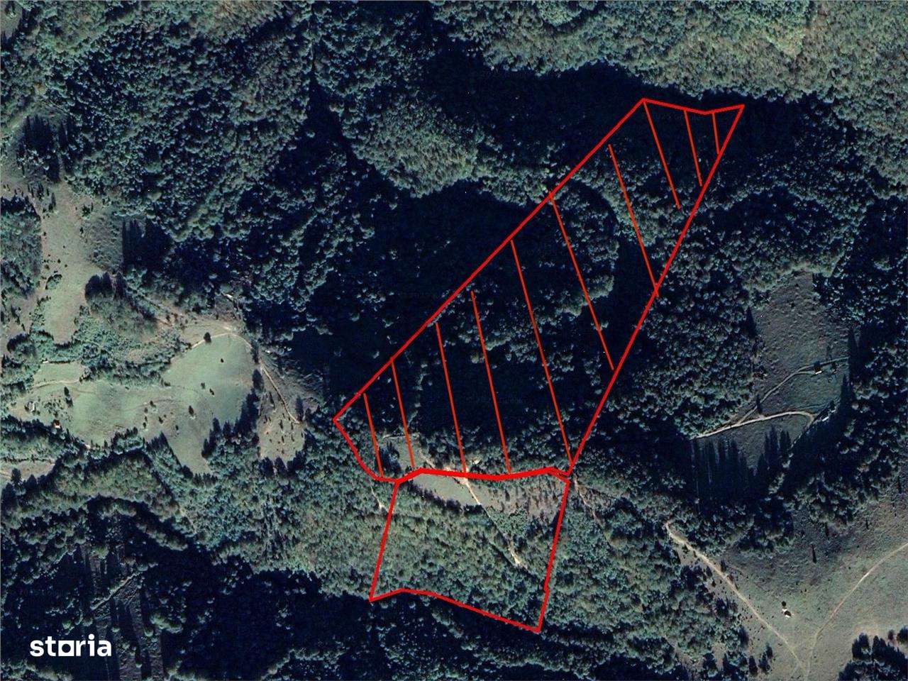 RECO Teren forestier, in EXCLUSIVITATE, sat Munteni - Imagine principală: 2/2