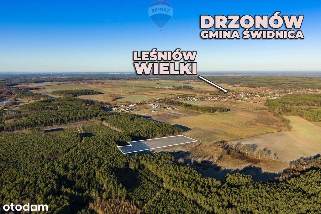 Na sprzedaż działka inwestycyjna 30 zł/ m² - Pełny obrazek: 3/17