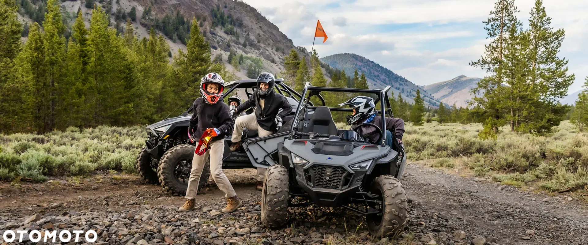 Polaris RZR - 10