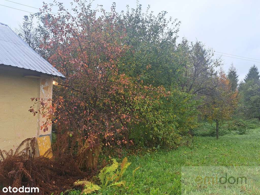 Gułów w powiecie łukowskim-4